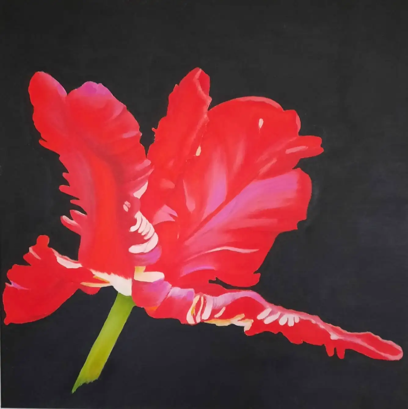 Acrylgemälde, 60 x 60 cm aus der Serie Acryl – Blumenserie auf Schwarz von Gisela Hetzelt