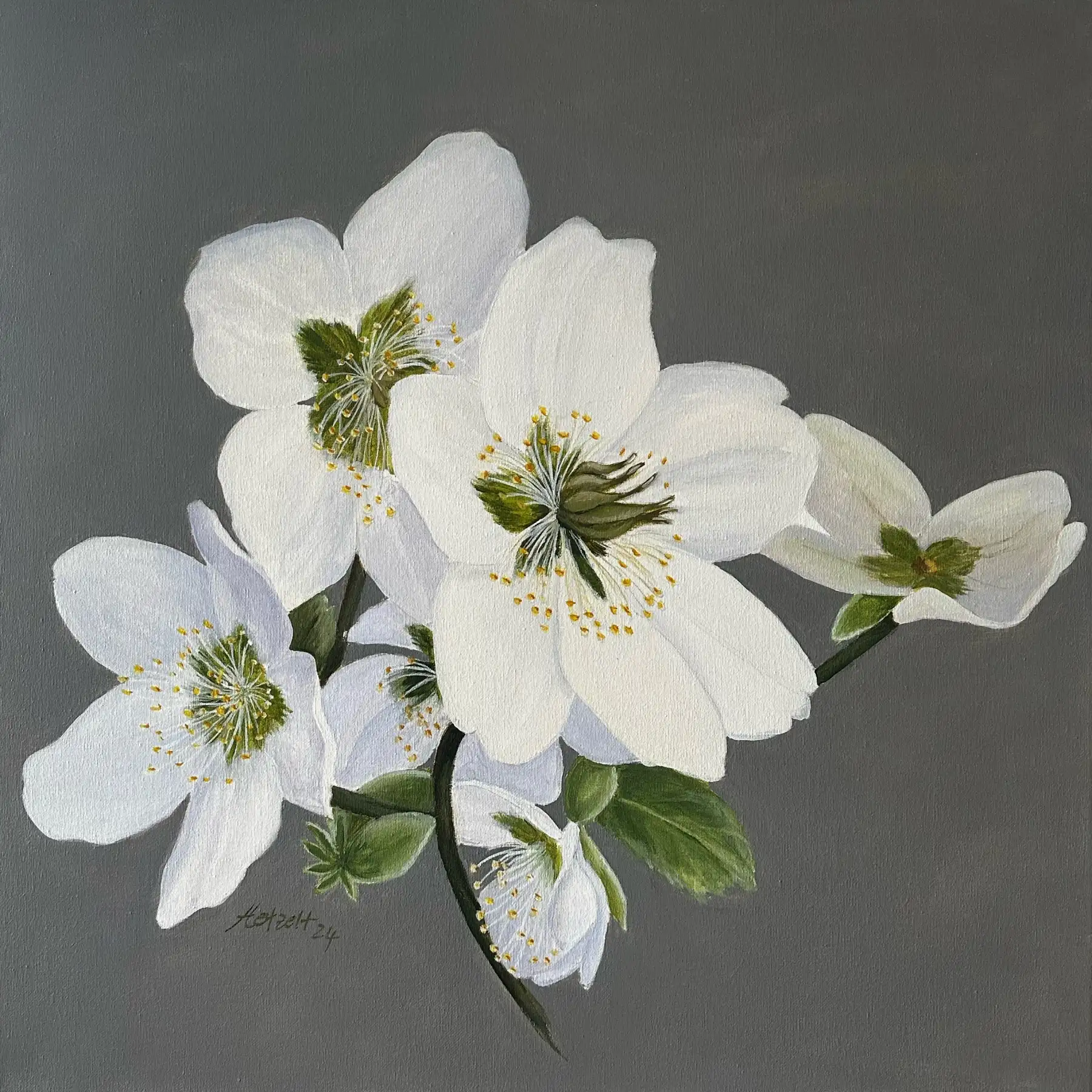 Bildserie Acryl – Frühjahrsblüher von Gisela Hetzelt