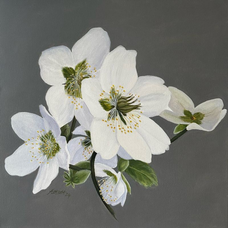 Acryl – Frühjahrsblüher – Gemälde von Gisela Hetzelt