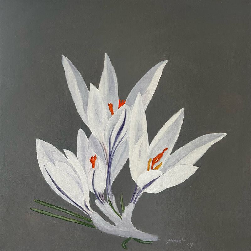 Acrylgemälde, 60 x 60 cm aus der Serie Acryl – Frühjahrsblüher von Gisela Hetzelt
