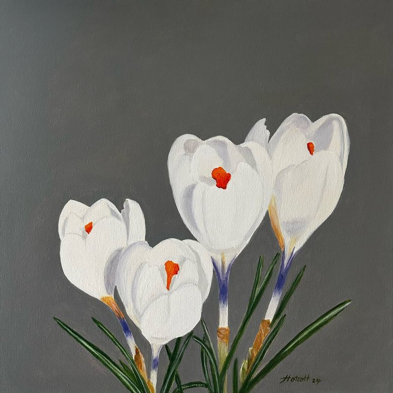 Acrylgemälde, 60 x 60 cm aus der Serie Acryl – Frühjahrsblüher von Gisela Hetzelt