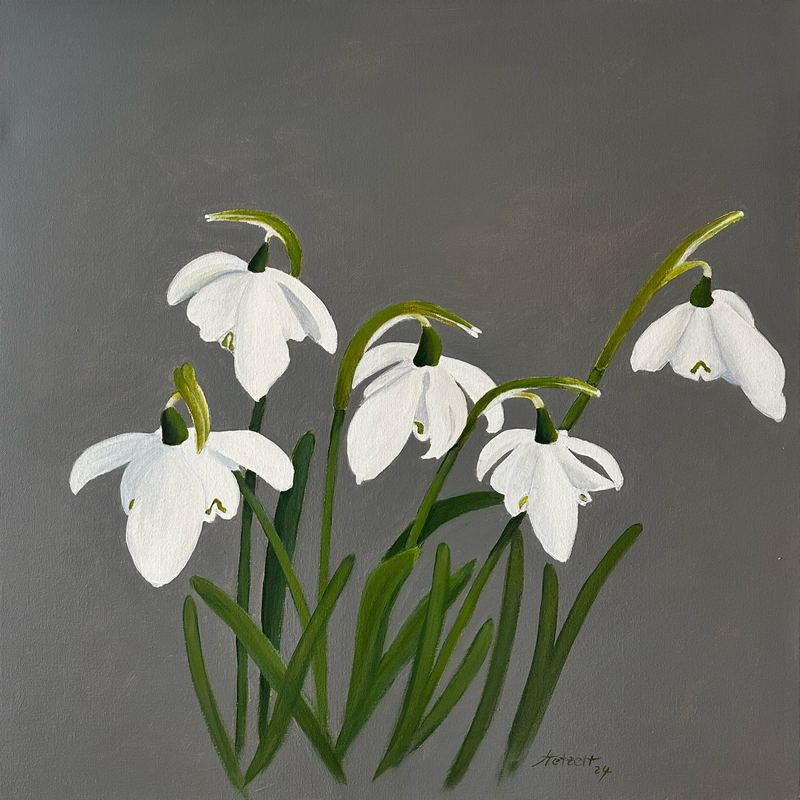 Acrylgemälde, 60 x 60 cm aus der Serie Acryl – Frühjahrsblüher von Gisela Hetzelt