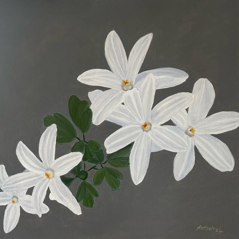 Acrylgemälde, 60 x 60 cm aus der Serie Acryl – Frühjahrsblüher von Gisela Hetzelt