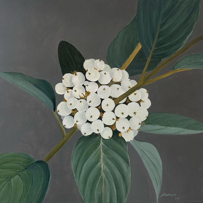 Acrylgemälde, 60 x 60 cm aus der Serie Acryl – Frühjahrsblüher von Gisela Hetzelt