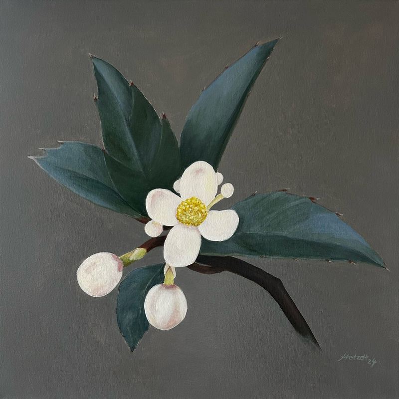 Acrylgemälde, 60 x 60 cm aus der Serie Acryl – Frühjahrsblüher von Gisela Hetzelt