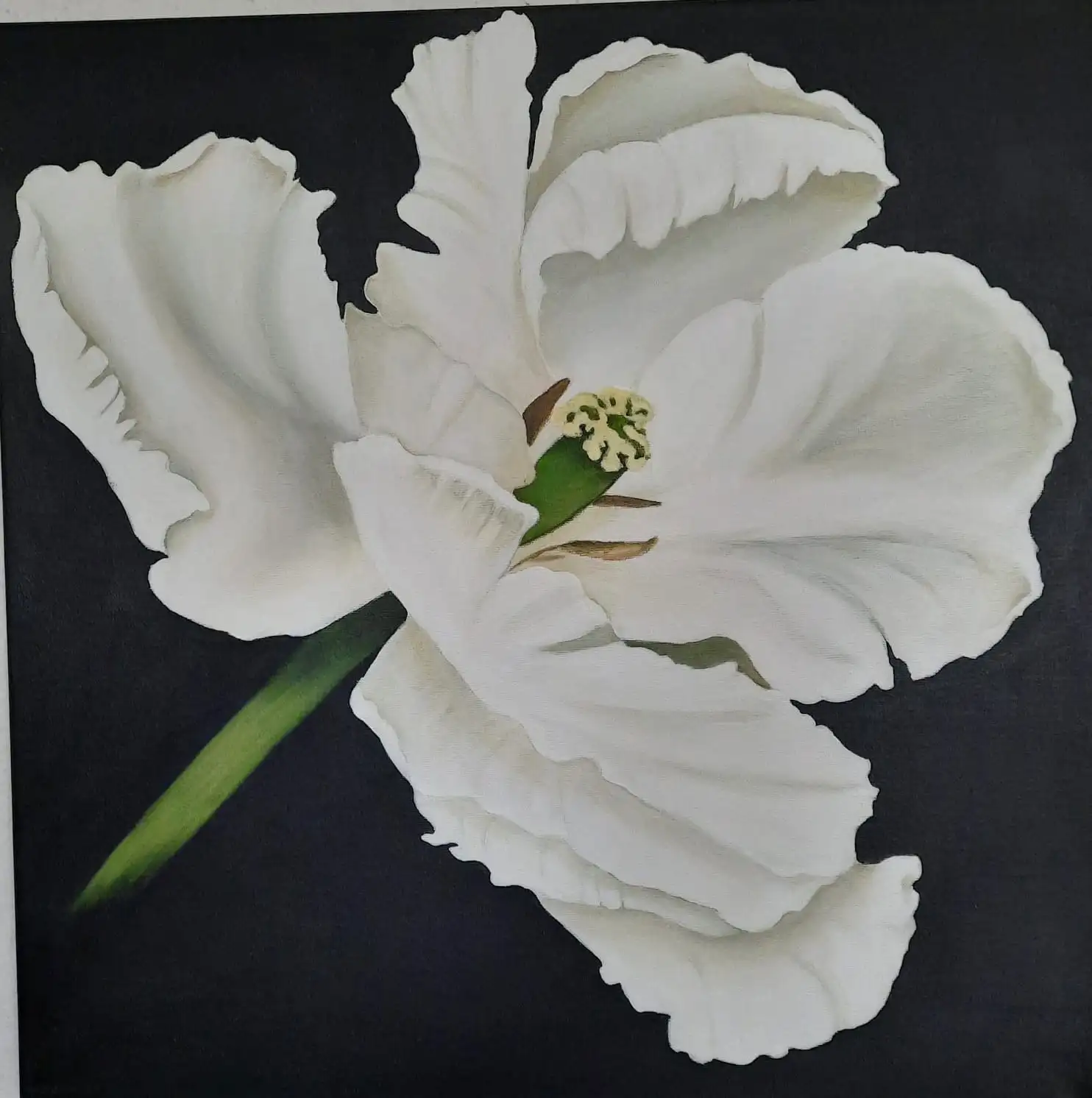 Acrylgemälde, 60 x 60 cm aus der Serie Acryl – Blumenserie auf Schwarz von Gisela Hetzelt