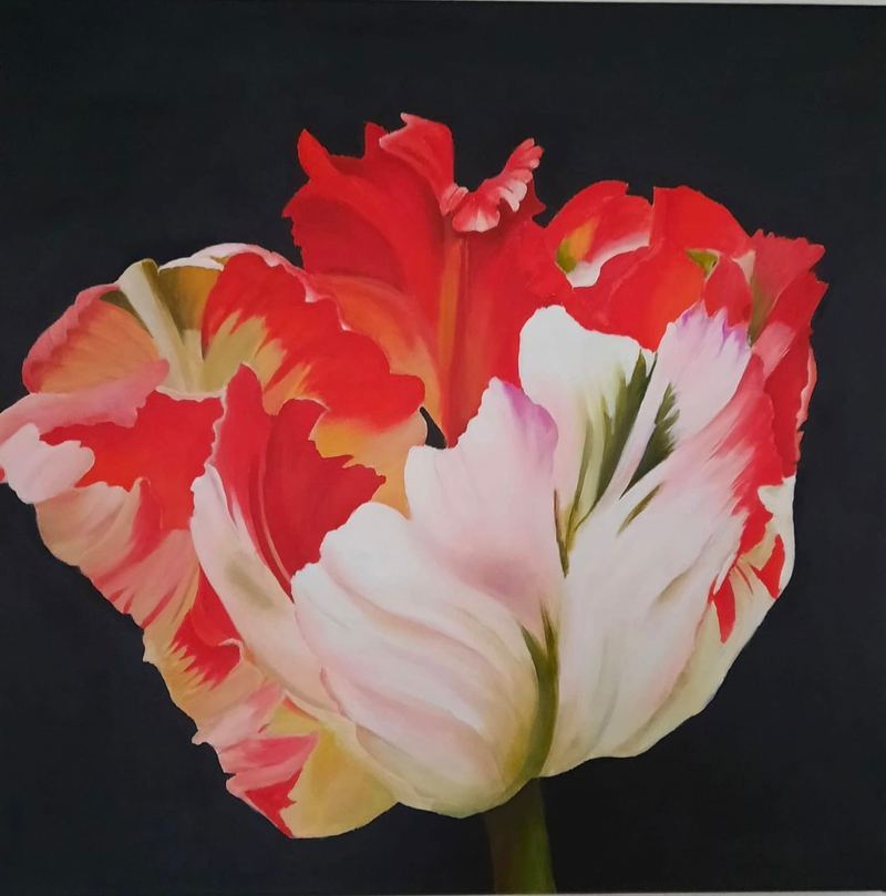 Acrylgemälde, 60 x 60 cm aus der Serie Acryl – Blumenserie auf Schwarz von Gisela Hetzelt