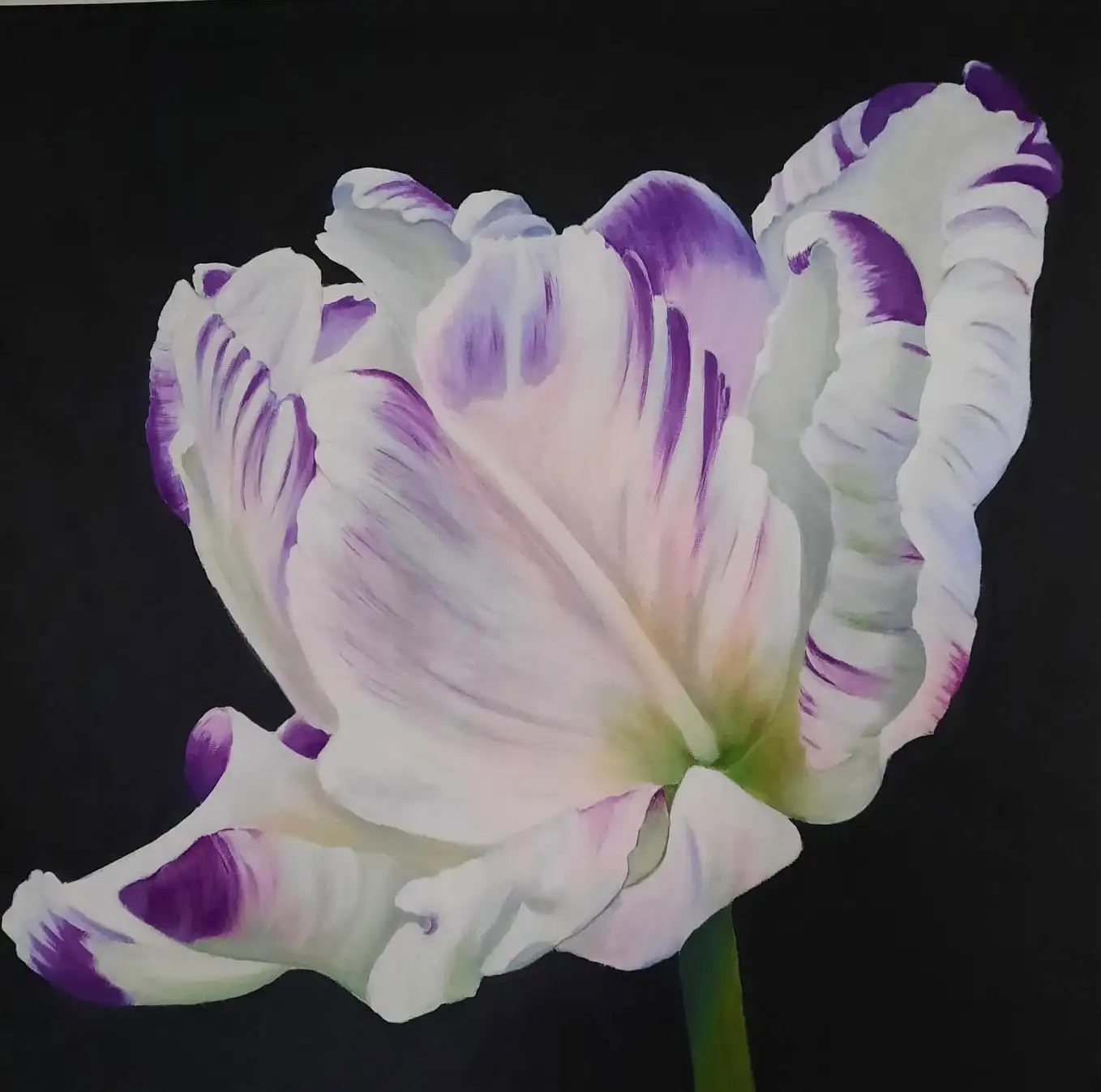 Acrylgemälde, 60 x 60 cm aus der Serie Acryl – Blumenserie auf Schwarz von Gisela Hetzelt