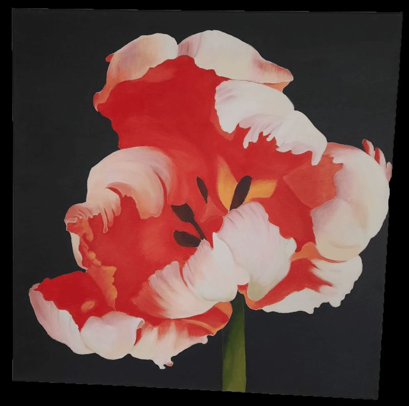 Acrylgemälde, 60 x 60 cm aus der Serie Acryl – Blumenserie auf Schwarz von Gisela Hetzelt
